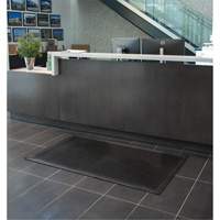 Tapis &agrave; profil bas, Caoutchouc, Grattoir Type, Motif Plein, 3' x 5', Noir Seagulf Marine Industries Inc.