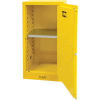 Armoire pour produits inflammables, 16 gal., 1 Porte(s), 23" La x 44" h x 18" p Seagulf Marine Industries Inc.