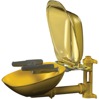 Postes de douche oculaire/faciale Halo, Installation Montage mural, Bol Plastique Seagulf Marine Industries Inc.