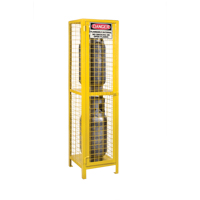 Gas Cylinder Cabinets, 2 Cylinder Capacity, 17" W x 17" D x 69" H, Yellow Seagulf Marine Industries Inc.