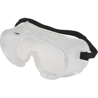 Lunettes &agrave; coques de s&eacute;curit&eacute; Z300, Lentille Transparent, Anti-&eacute;gratignures, Ventilation Directe Seagulf Marine Industries Inc.