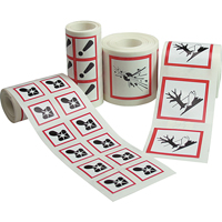 GHS Pictogram Labels, Vinyl, Roll, 4" L x 4" W Seagulf Marine Industries Inc.