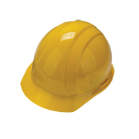Trousses d'&eacute;PI de d&eacute;marrage pour travailleuses Seagulf Marine Industries Inc.