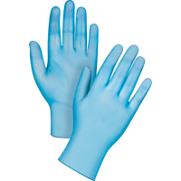 Medical-Grade Disposable Gloves, Small, Vinyl, 4.5-mil, Powder-Free, Blue, Class 2 Seagulf Marine Industries Inc.