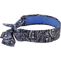 Chill-Its&reg; 6700CT Cooling Bandanas, Blue Seagulf Marine Industries Inc.
