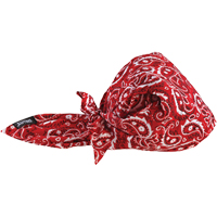 Bandeaux en triangle 6710CT de refroidissement en tissu de serviette Chill-Its, Rouge Seagulf Marine Industries Inc.
