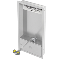 Eyewash Station, Wall-Mount Installation, Stainless Steel Bowl Seagulf Marine Industries Inc.