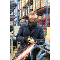 Lunettes &agrave; coques de s&eacute;curit&eacute; avec visi&egrave;re de s&eacute;rie Z2300, Lentille Transparent, Antibu&eacute;e, Ventilation Indirecte Seagulf Marine Industries Inc.
