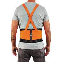 ProFlex 100HV Economy Spandex Hi-Vis Back Support Brace, Elastic, X-Small Seagulf Marine Industries Inc.