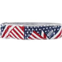 Chill-Its 6605 Cooling Headbands, Multi-Colour Seagulf Marine Industries Inc.