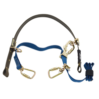 Cynch-Lok Web Pole Climbing Device Seagulf Marine Industries Inc.