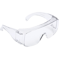 Tour-Guard V Series Safety Glasses, Clear Lens, Meets/Exceeds CSA Z94.3 Seagulf Marine Industries Inc.