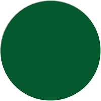 Marqueurs all&eacute;g&eacute;e/5S Armor Stripe, Cercle, 6" lo x 6" la, Vert, Plastique Seagulf Marine Industries Inc.