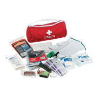 Dynamic Car First Aid Kit, Class 1 Medical Device, Nylon Bag Seagulf Marine Industries Inc.
