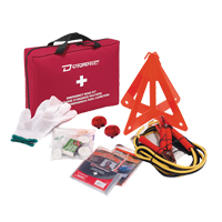 Dynamic Extreme Road Hazard First Aid Kit, Class 1 Medical Device, Nylon Bag Seagulf Marine Industries Inc.