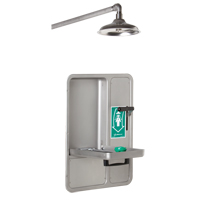Douche et douche oculaire/faciale, Montage au plafond Seagulf Marine Industries Inc.