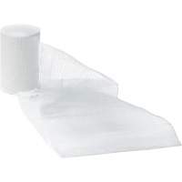 Dynamic Gauze Bandages, Roll, 15' L x 1" W, Sterile, Medical Device Class 1 Seagulf Marine Industries Inc.