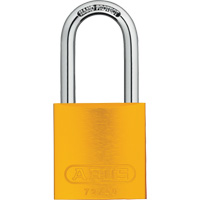 Ensemble de cadenas, Cl&eacute;s identiques, Aluminium, Largeur de 1-1/2" Seagulf Marine Industries Inc.