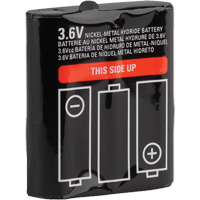 Batterie radio bidirectionnelle rechargeable &agrave; usage r&eacute;cr&eacute;atif Seagulf Marine Industries Inc.