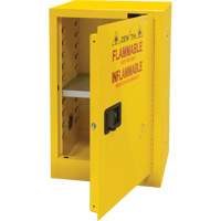 Armoire pour produits inflammables, 12 gal., 1 Porte(s), 23" La x 35" h x 18" p Seagulf Marine Industries Inc.