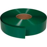 Ruban de marquage tr&egrave;s r&eacute;sistant pour plancher ArmorStripe, 2" x 100', PVC, Vert Seagulf Marine Industries Inc.