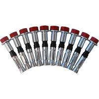 Replacement Bolt Kit for Concrete D-Ring Anchors, Bolt-On, Permanent/Temporary Use Seagulf Marine Industries Inc.