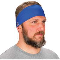 Chill-Its 6634 Cooling Headband, Blue Seagulf Marine Industries Inc.