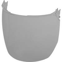 Face Shield Replacement Lenses, Polycarbonate, Grey/Smoke Tint Seagulf Marine Industries Inc.