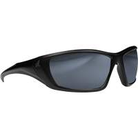 Robson Safety Glasses with Gasket, Silver Mirror Lens, Anti-Scratch/Polarized, ANSI Z87+/MCEPS GL-PD 10-12/Meets/Exceeds CSA Z94.3 Seagulf Marine Industries Inc.