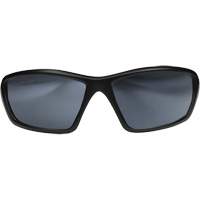 Robson Safety Glasses with Gasket, Silver Mirror Lens, Anti-Scratch/Polarized, ANSI Z87+/MCEPS GL-PD 10-12/Meets/Exceeds CSA Z94.3 Seagulf Marine Industries Inc.