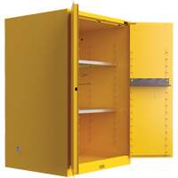 Armoire de s&eacute;curit&eacute; pour produits inflammables Utili-Guard+, 45 gal., 2 Porte(s), 43" La x 65" h x 22" p Seagulf Marine Industries Inc.