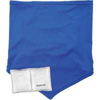 Cache-cou/bandana de refroidissement Chill-Its 6482 avec sachet r&eacute;frig&eacute;rant &agrave; changement de phase r&eacute;utilisable, petit/moyen, Bleu Seagulf Marine Industries Inc.
