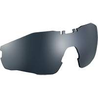 MY6 Safety Glasses Replacement Lens, Anti-Fog/Anti-Scratch, Grey/Smoke, MY6 Seagulf Marine Industries Inc.