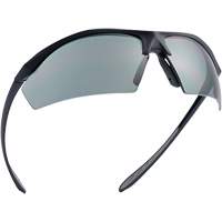 Sentinel Ballistic Protection Safety Glasses, Smoke Lens, Anti-Fog/Anti-Scratch/Polarized, ANSI Z87+ Seagulf Marine Industries Inc.