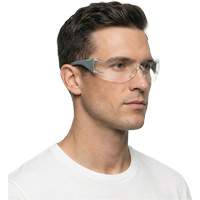 Adapt Lite Grey/Green Safety Glasses, Clear Lens, Anti-Fog/Anti-Scratch, ANSI Z87+/Meets/Exceeds CSA Z94.3 Seagulf Marine Industries Inc.