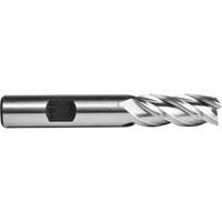 C618 End Mill, 1" Dia., 4 Flutes, High Speed Cobalt Seagulf Marine Industries Inc.