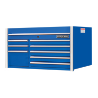 RX Series Tool Chest, 41" W, 8 Drawers, Blue Seagulf Marine Industries Inc.
