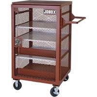 Armoire mobile en treillis, Acier, 22 pi³, Rouge Seagulf Marine Industries Inc.