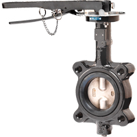 Butterfly Valves - Series BFV, 2" Pipe, 225 PSI Seagulf Marine Industries Inc.