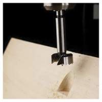 Forstner Wood Bit, 3/4", 3/8" Shank, 3-1/2" Length Seagulf Marine Industries Inc.