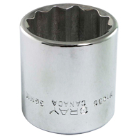 Socket, 13 mm, 1/2" Drive, 12 Points Seagulf Marine Industries Inc.
