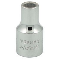 Socket, 3/16", 1/4" Drive, 12 Points Seagulf Marine Industries Inc.