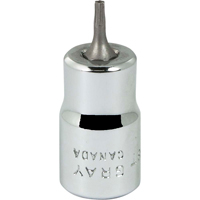 Bit Socket, Torx&reg;, T8 x 2-1/8" L, 3/8" Drive Seagulf Marine Industries Inc.
