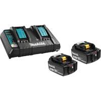Li-Ion Battery & Dual-Port Charger Kit, 18 V, Lithium-Ion Seagulf Marine Industries Inc.
