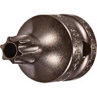 Socket Bit, Torx&reg; Tamper, 8 x 3/4" L, 1/4" Drive Seagulf Marine Industries Inc.