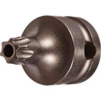 Socket Bit, Torx&reg; Tamper, 25 x 1" L, 3/8" Drive Seagulf Marine Industries Inc.
