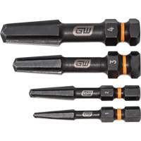 Bolt Biter Screw Extractor Set, High Speed Steel, 4 Pieces Seagulf Marine Industries Inc.