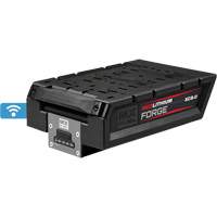MX Fuel RedLithium Forge HD8.0 Battery Pack Seagulf Marine Industries Inc.