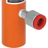 Hydraulic Rams, 4" Stroke, 4 Ton(s) Capacity, 10000 PSI Seagulf Marine Industries Inc.