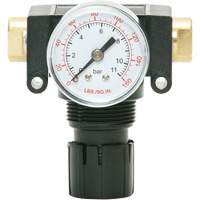 D&eacute;tendeur &agrave; piston en ac&eacute;tal MODULAIR 200, 1/4" NPT, PSI max. de 150 psi, Canalisation/Modulaire Seagulf Marine Industries Inc.
